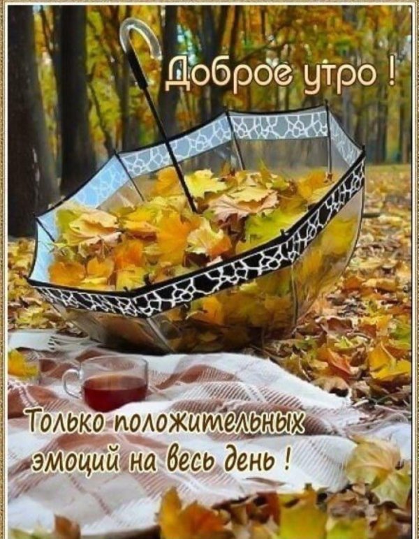 осень я и зонтик