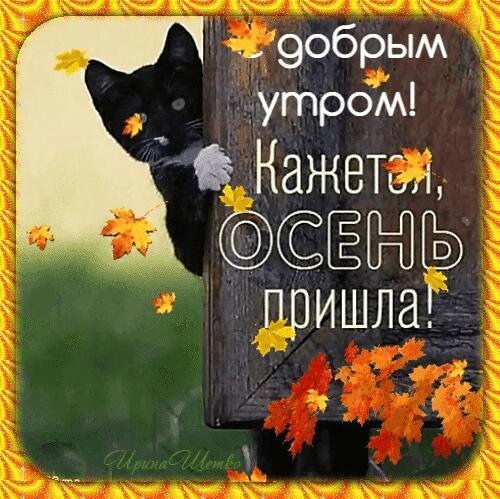 с добрым утром осенние прикольные