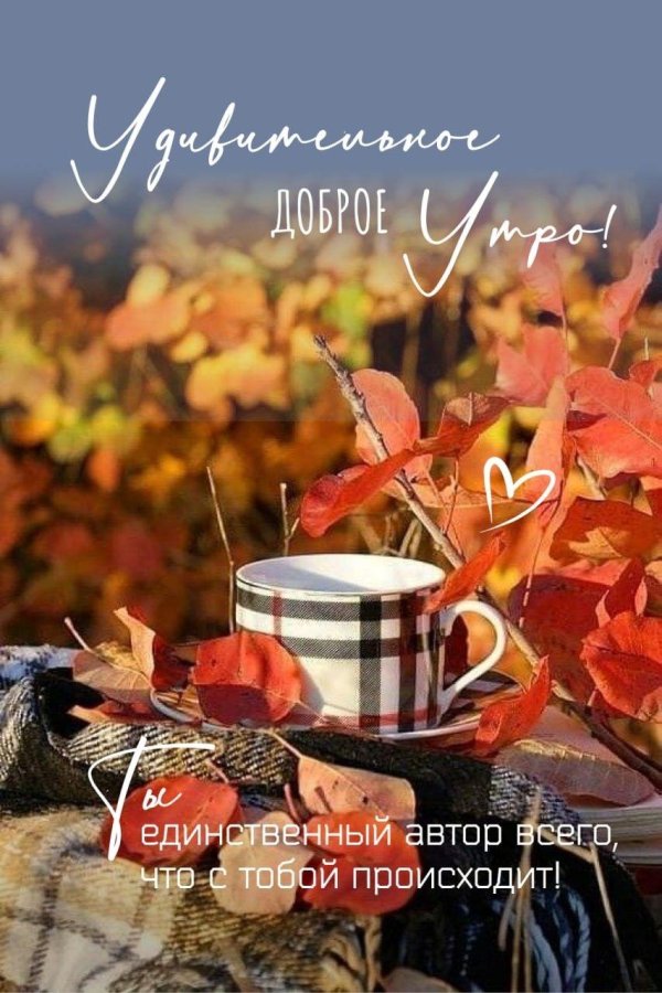 осеннее утро доброе