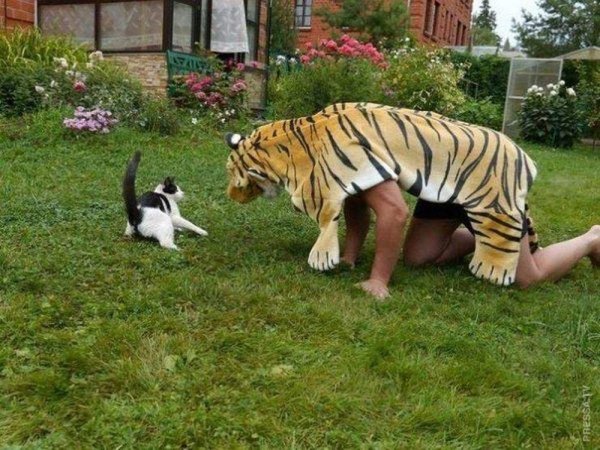 Женщина тигрица
