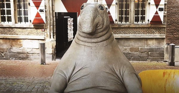 homunculus loxodontus