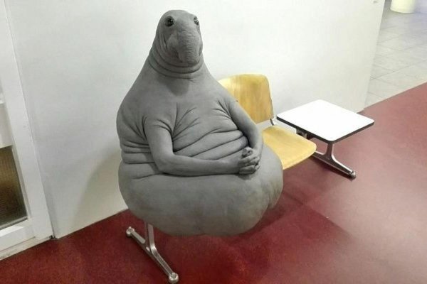 homunculus loxodontus