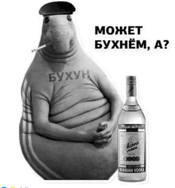 режим ждуна