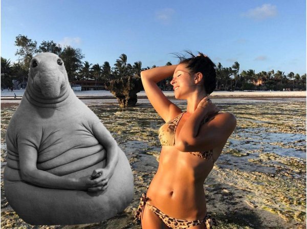 покажи фотографию ждуна