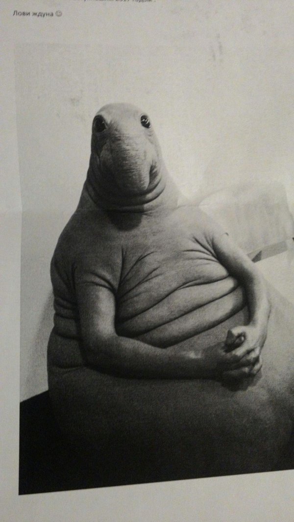 старый ждун