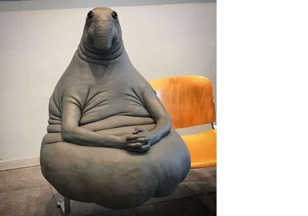 homunculus loxodontus