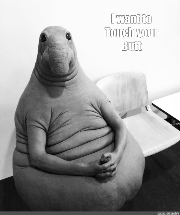 режим ждуна