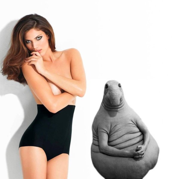 утягивающее белье