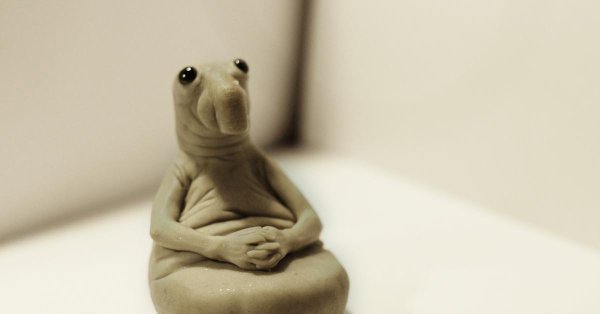 homunculus loxodontus