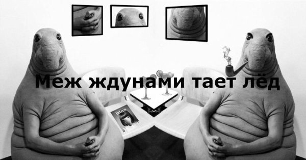 режим ждуна