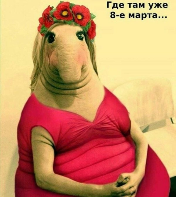 девочка ждун