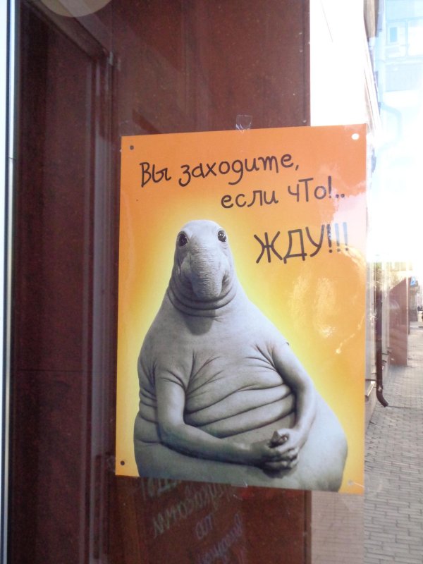 открытка ждун