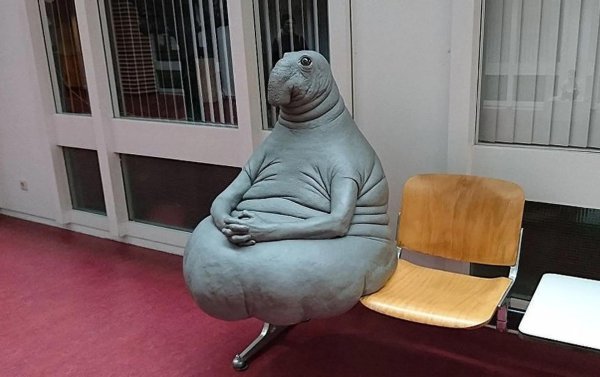 homunculus loxodontus