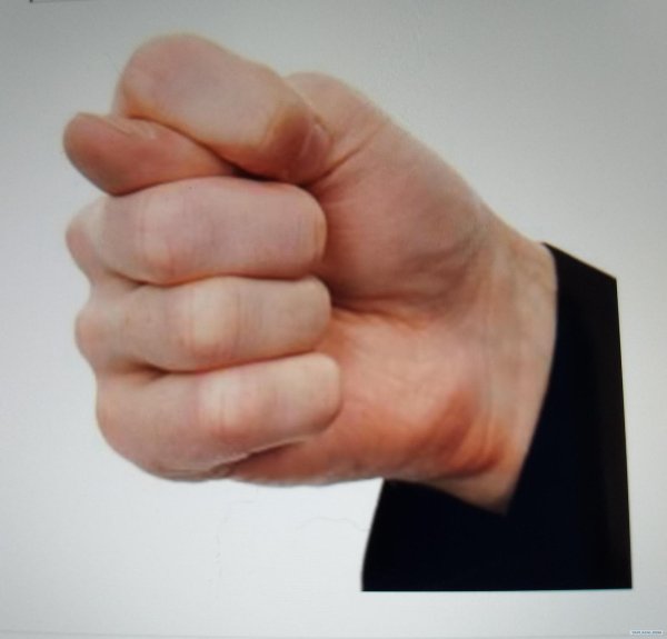 сжатый кулак