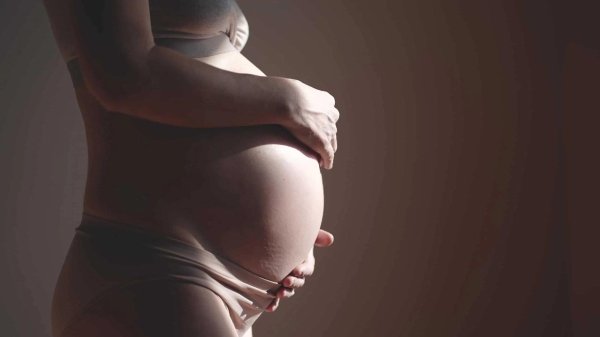 живот беременности