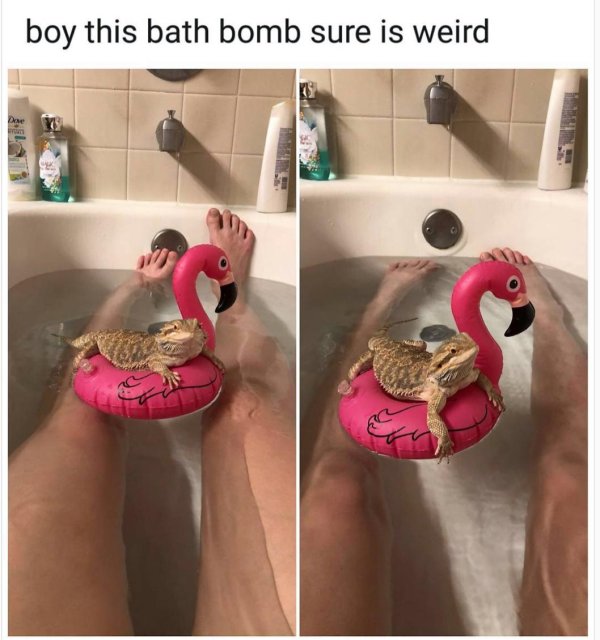 надувной фламинго