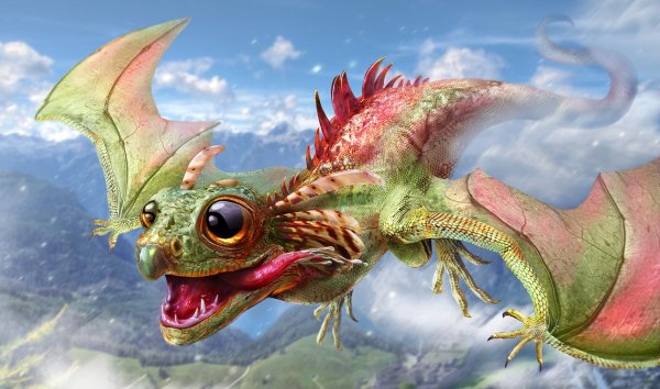 детеныш дракона