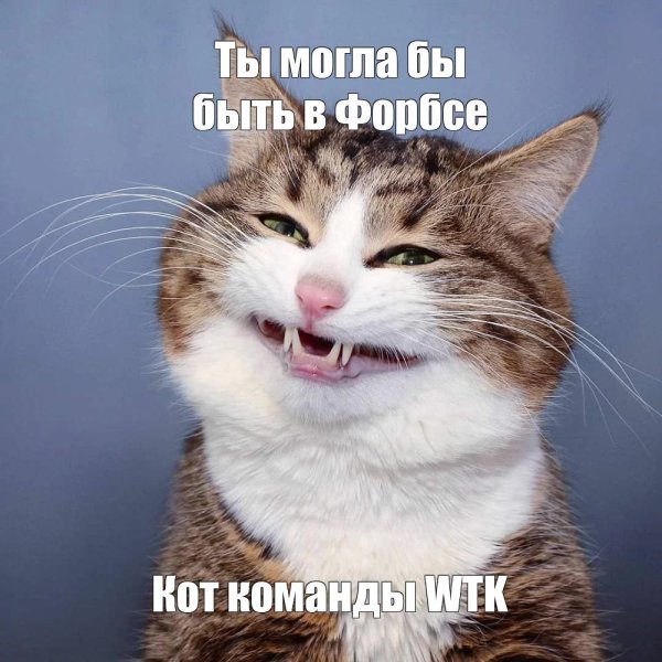 смеющийся кот