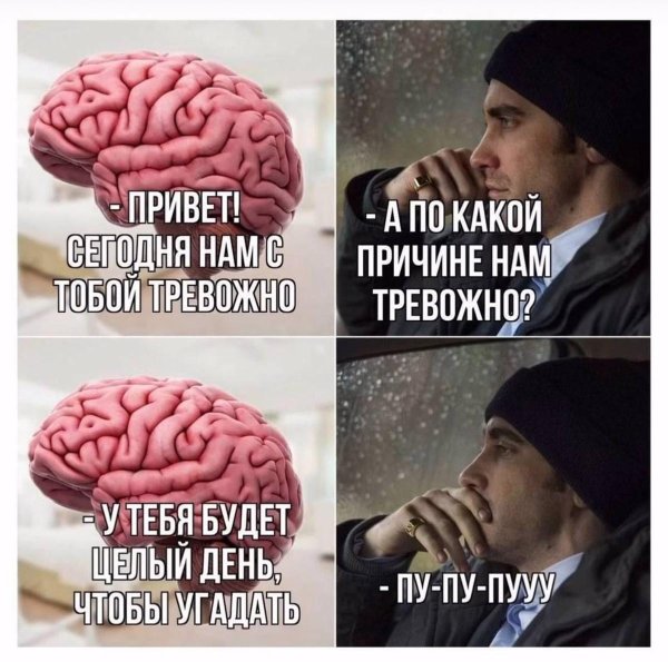 Женщина с мозгами