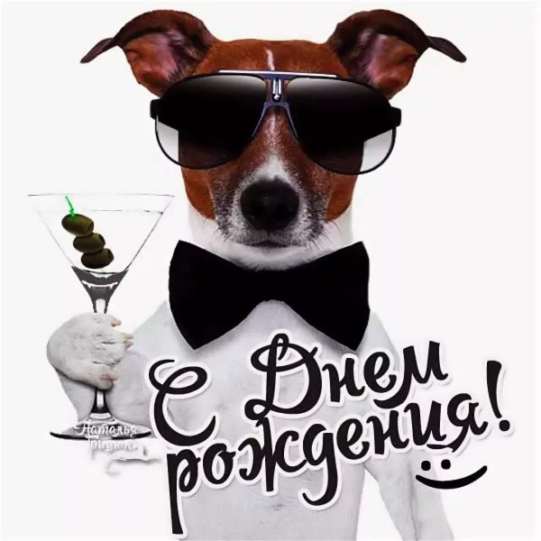 поздравление с день рождения мужчине