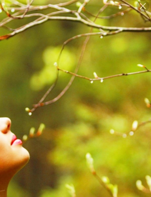 весенние фотосессии