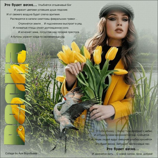 фотосессия с тюльпанами