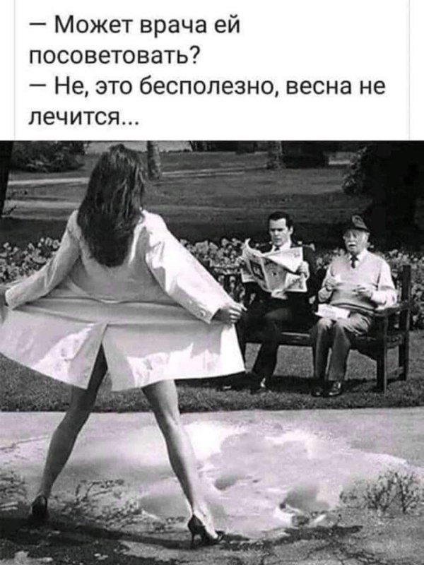 юмор женский
