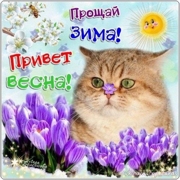 открытка весенняя