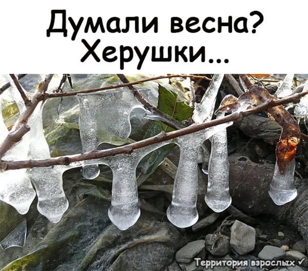 зима оттепель