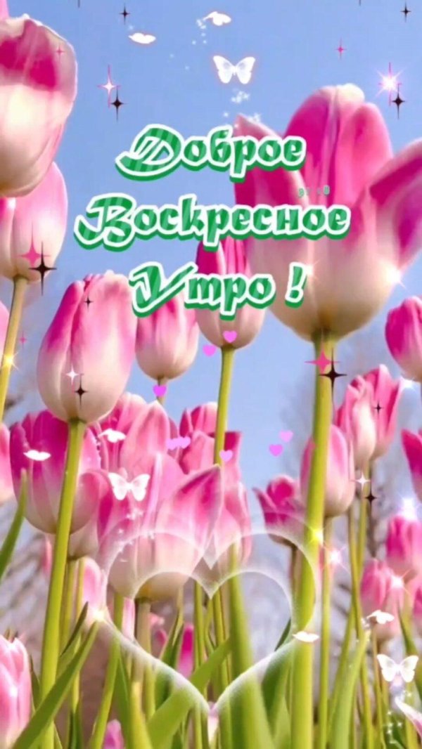 добро воскресным утром