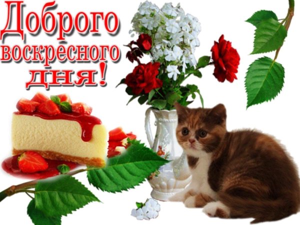 доброго воскресного дня