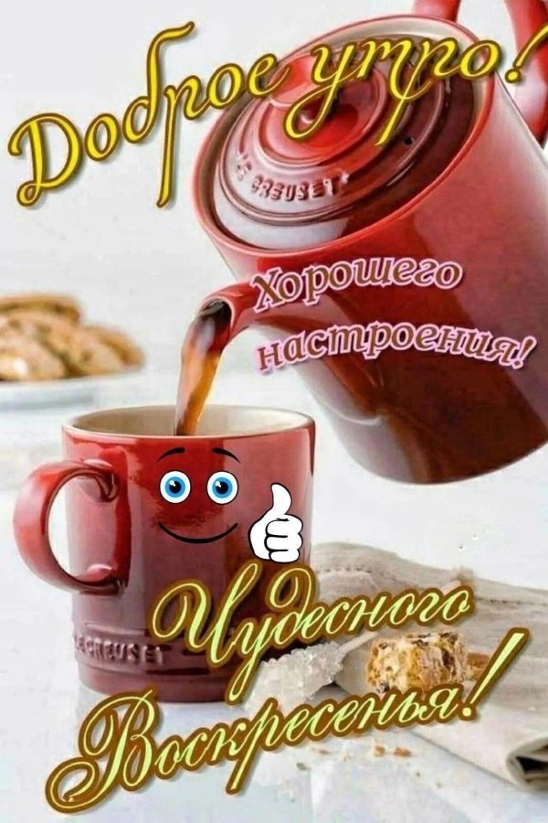 доброе утро регина