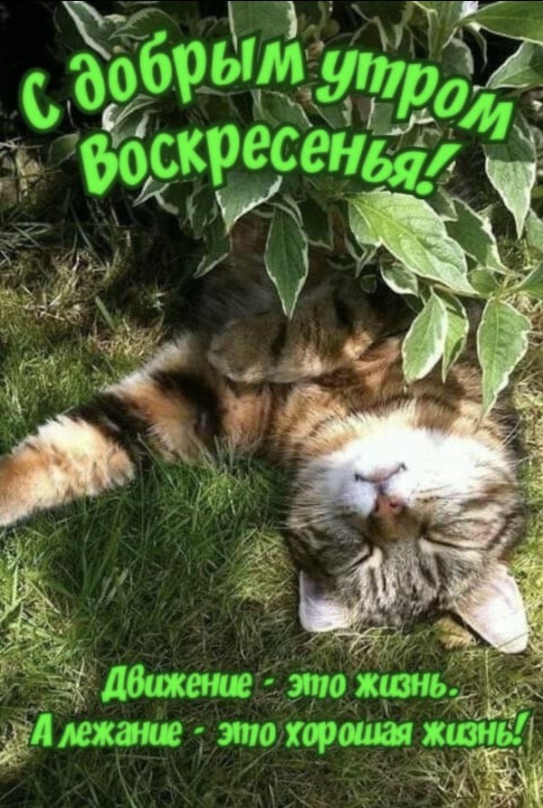 утро воскресения