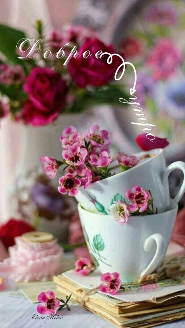доброе утро открытка цветы