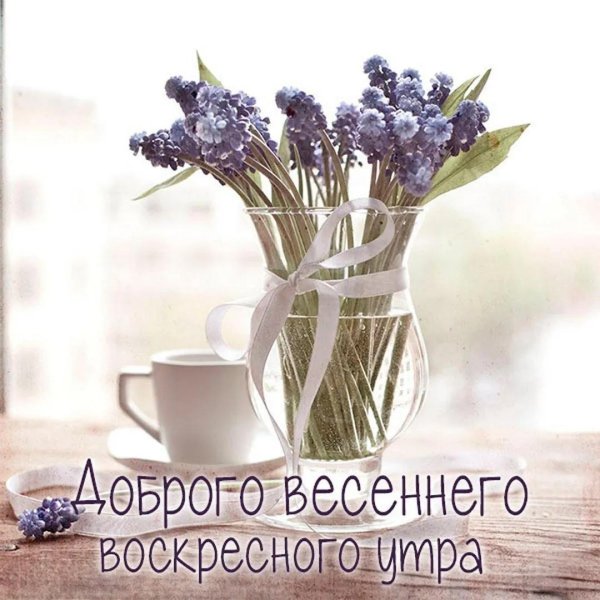 утра доброго весеннего