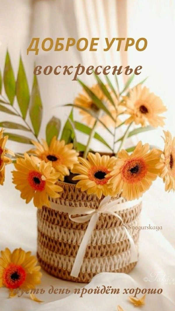 доброе летнее утро воскресенья