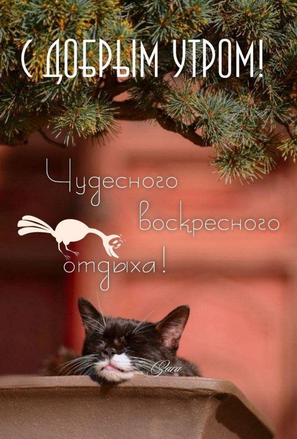 утро воскресения