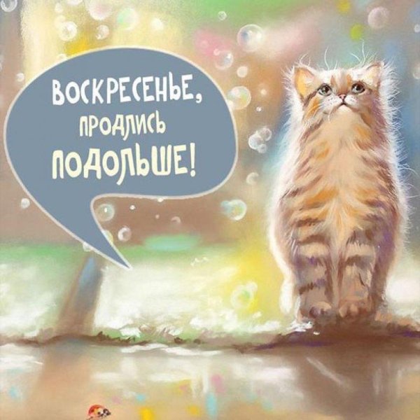 рисованные коты