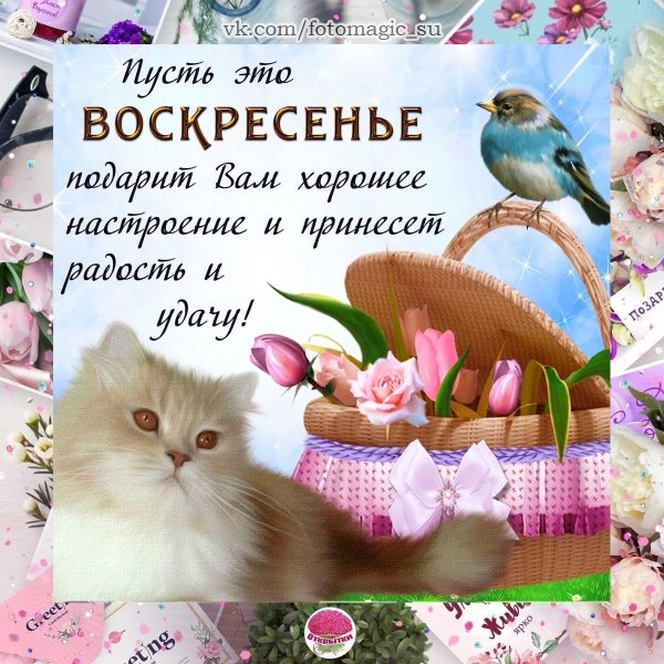 добрейшего воскресенья