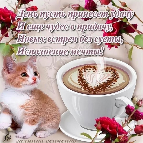 доброе утро и хорошего дня новые