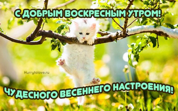 весеннего воскресенья