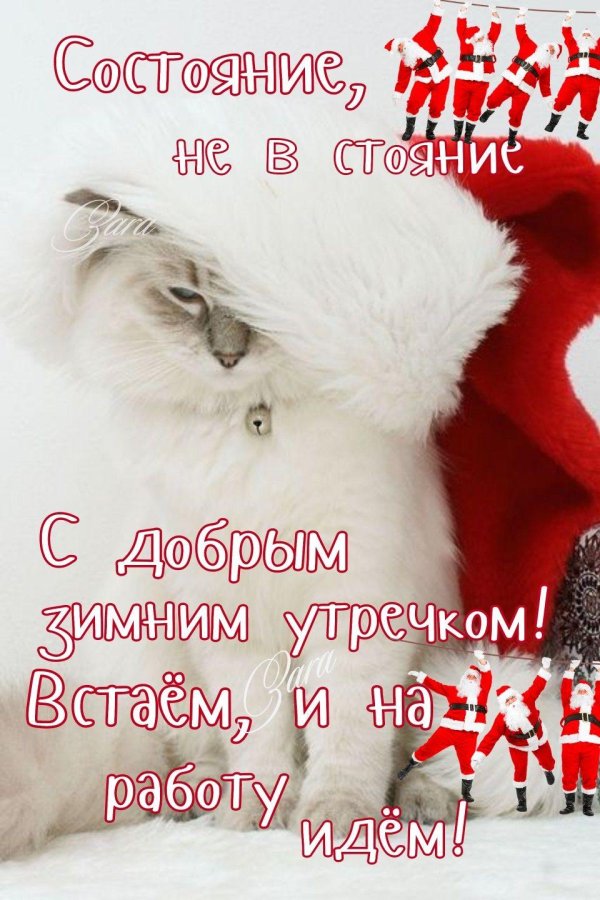 котенок новогодний