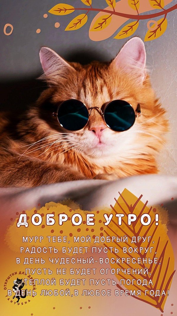 добрейшего утречка