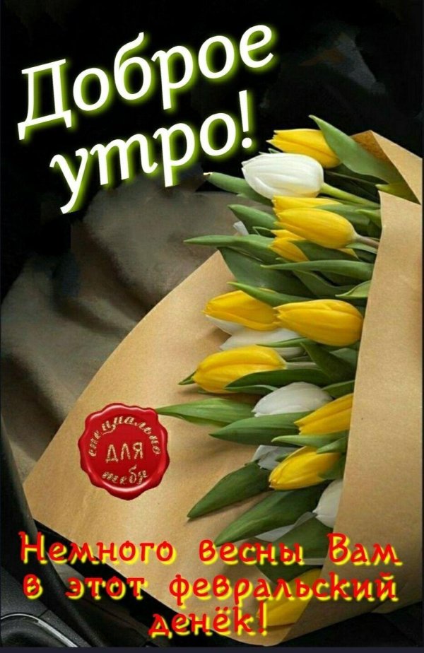 жëлтые тюльпаны