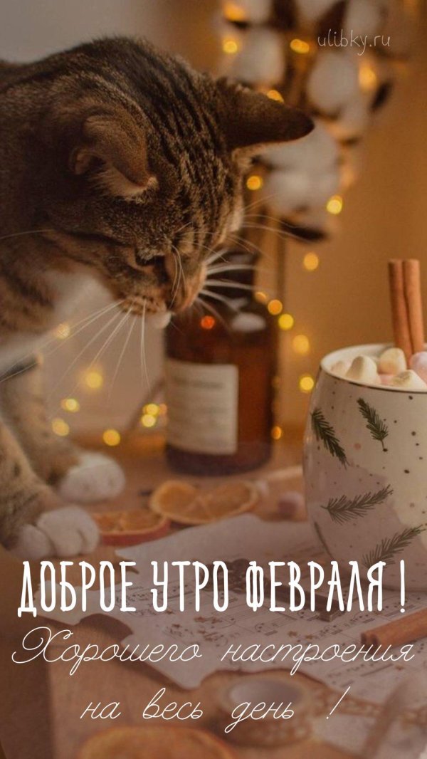 доброго утра февраль