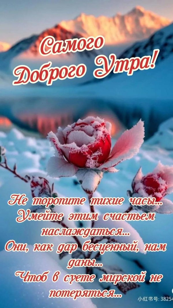 доброго утра февраль