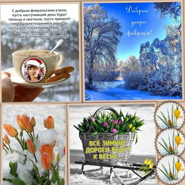 зимняя природа