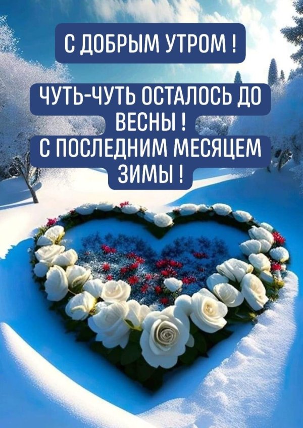 хорошего дня красивые зимние