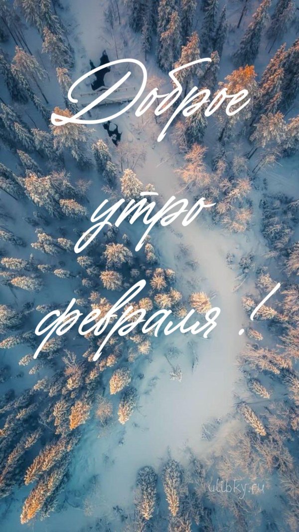 февраль утро