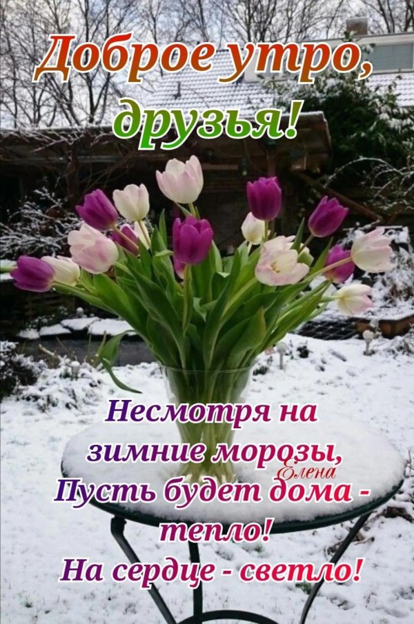 доброго февральского утра